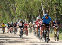Adana'da bisiklet yarışması