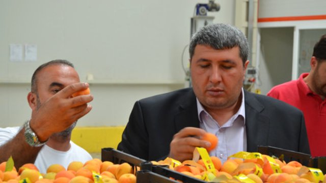 Azeri İş Adamı Ruslara Adana Karpuzu Satacak