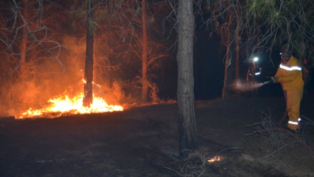 Kozan'da Orman Yangını Çıktı