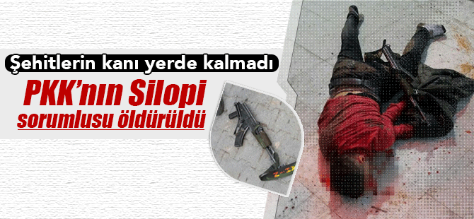 3 şehidin katili PKK'lı çatışmada öldürüldü