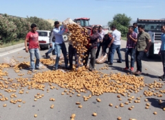 Patates üreticileri fiyatlara isyan etti