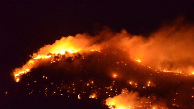 Kozan'da 10 Hektarlık Kızılçam Ormanı Yandı