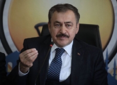 Bakan Eroğlu Adana'da