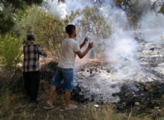  Kozan'da orman yangını
