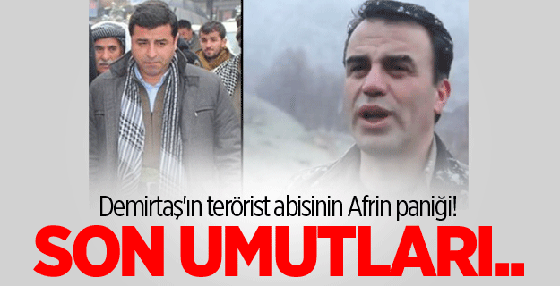 Demirtaş'ın terörist abisinin Afrin paniği!