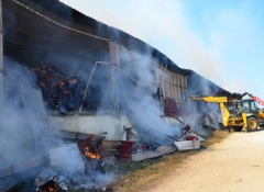 Adana'da çırçır fabrikasında yangın