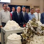 Adana'da yılın ilk kütlü pamuk satışı yapıldı