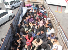 'Koyun var' dedi kaçak göçmen çıktı
