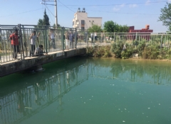 Adana'da sulama kanalında kaybolan gencin cesedine ulaşıldı