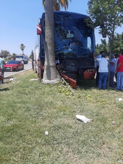 Ağaca çarpan yolcu otobüsünün şoförü öldü