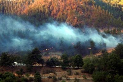 Adana'nın 4 ilçesindeki yangınlar 72 saatte söndürüldü