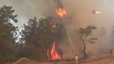 Yangın alanları afet bölgesi ilan edildi