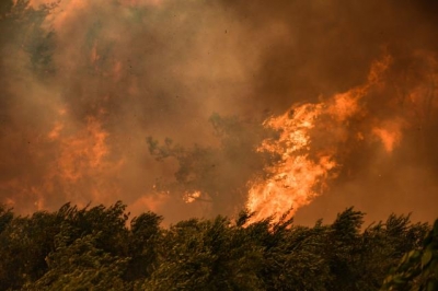 Adana'da tarlada yangına müdahale ediliyor