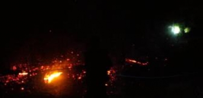 Feke'de Orman Yangını