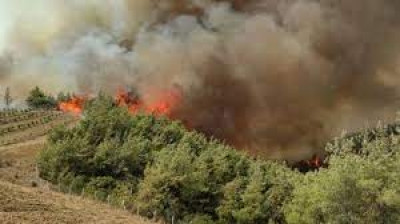 Adana'da Anız Yangını