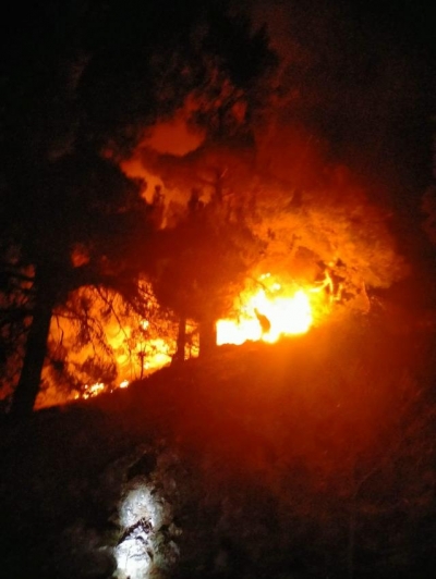 Saimbeyli'de Orman Yangını