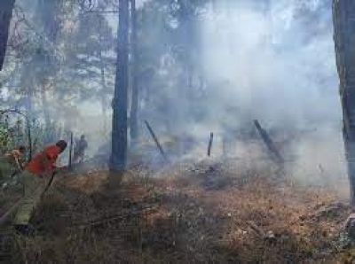 Kozan'da çıkan orman yangını kontrol altına alındı