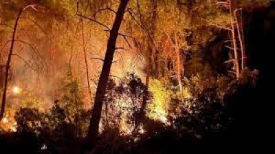İmamoğlu'nda 3 gün arayla 2'nci orman yangını Çıktı